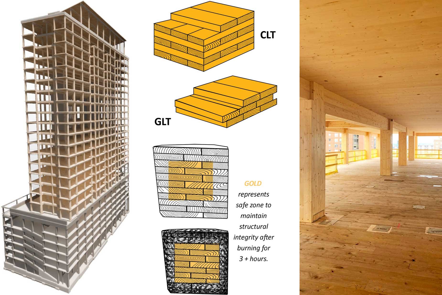 Tallest Mass Timber Construction Building Ascent Case Study with C.D. Smith Construction