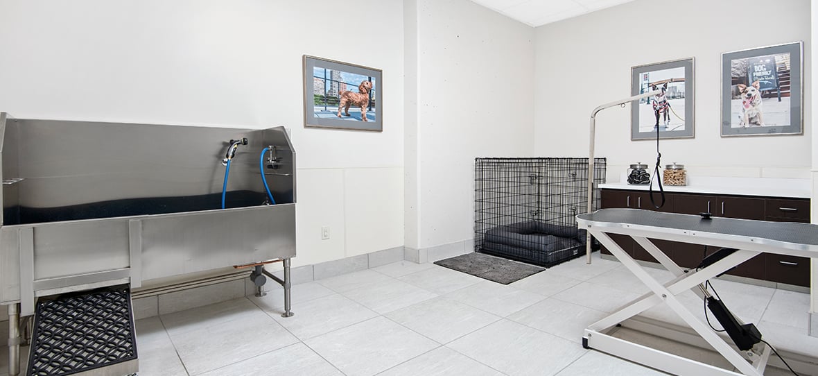 7Seventy7, Northwestern Mutual’s luxury high-rise located adjacent to its downtown Milwaukee campus, features high-end residential apartments and retail space, while also addressing the company’s workforce parking needs.