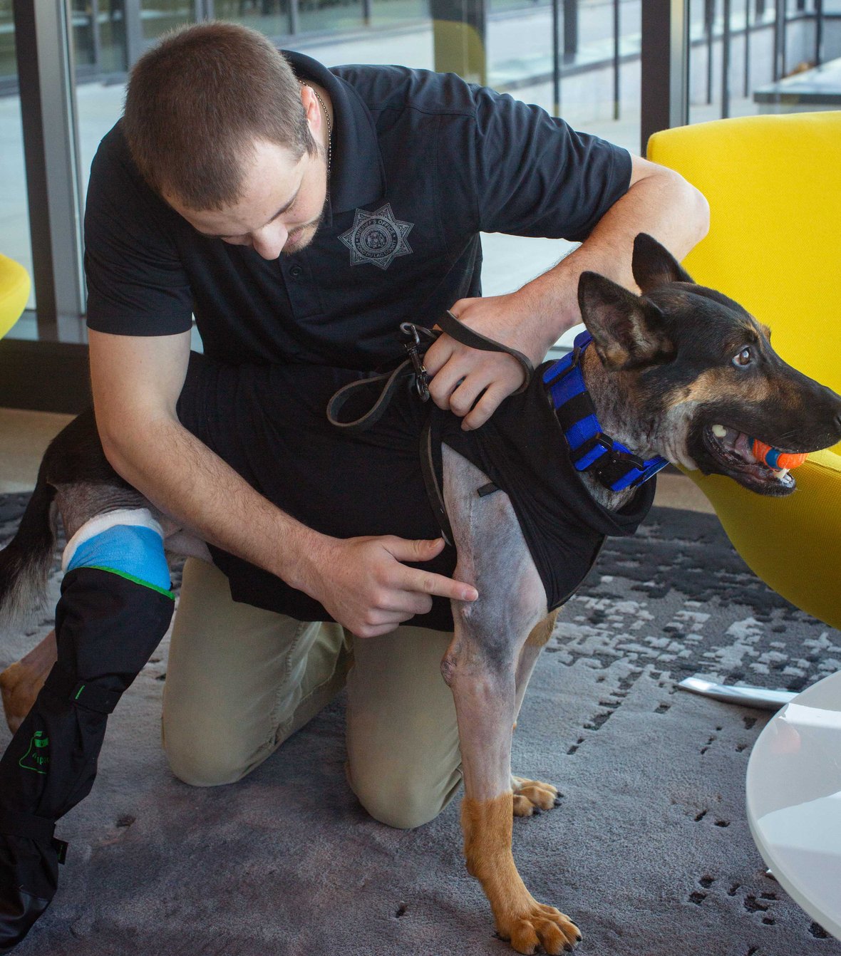 Deputy Evans and K9 Iro sharing and showing recovering injuries on Iro at CD Smith Construction Fond du Lac WI Office