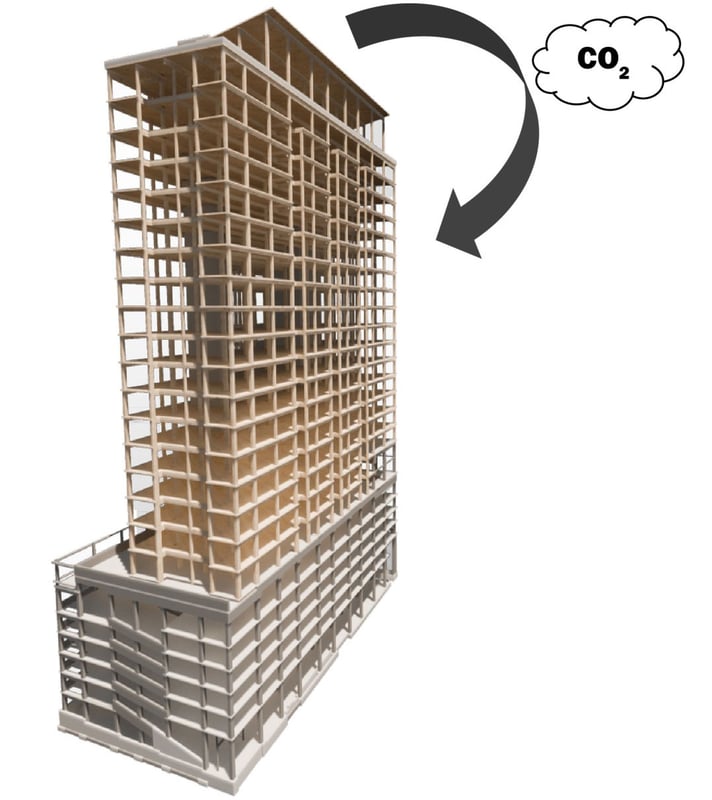 Carbon Sequestering timber building carbon storage for negative carbon imprint mass timber building