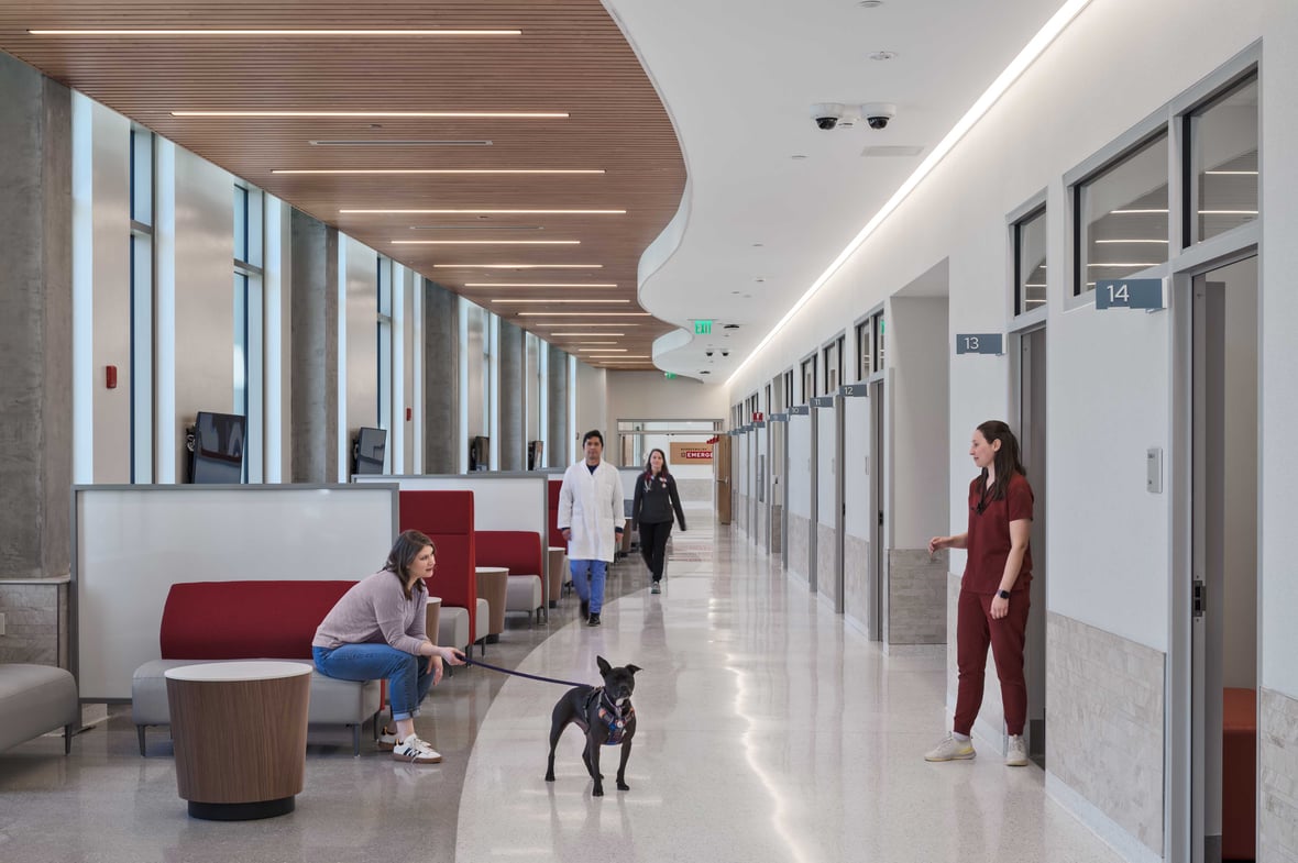 Education Hall featuring modern waiting areas and exam room entrances at UW-Madison Veterinary Medicine expansion in Wisconsin.