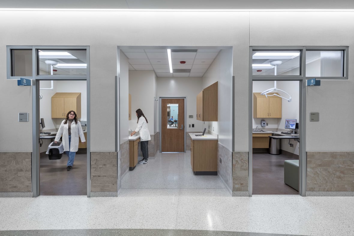 Hallway with open doors leading to exam rooms at the UW-Madison School of Veterinary Medicine in Wisconsin