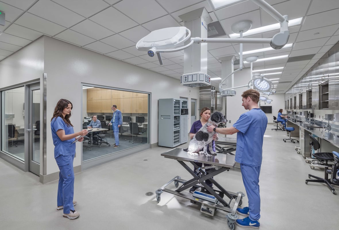 Modern veterinary surgical suite with advanced equipment at UW-Madison's new addition in Wisconsin