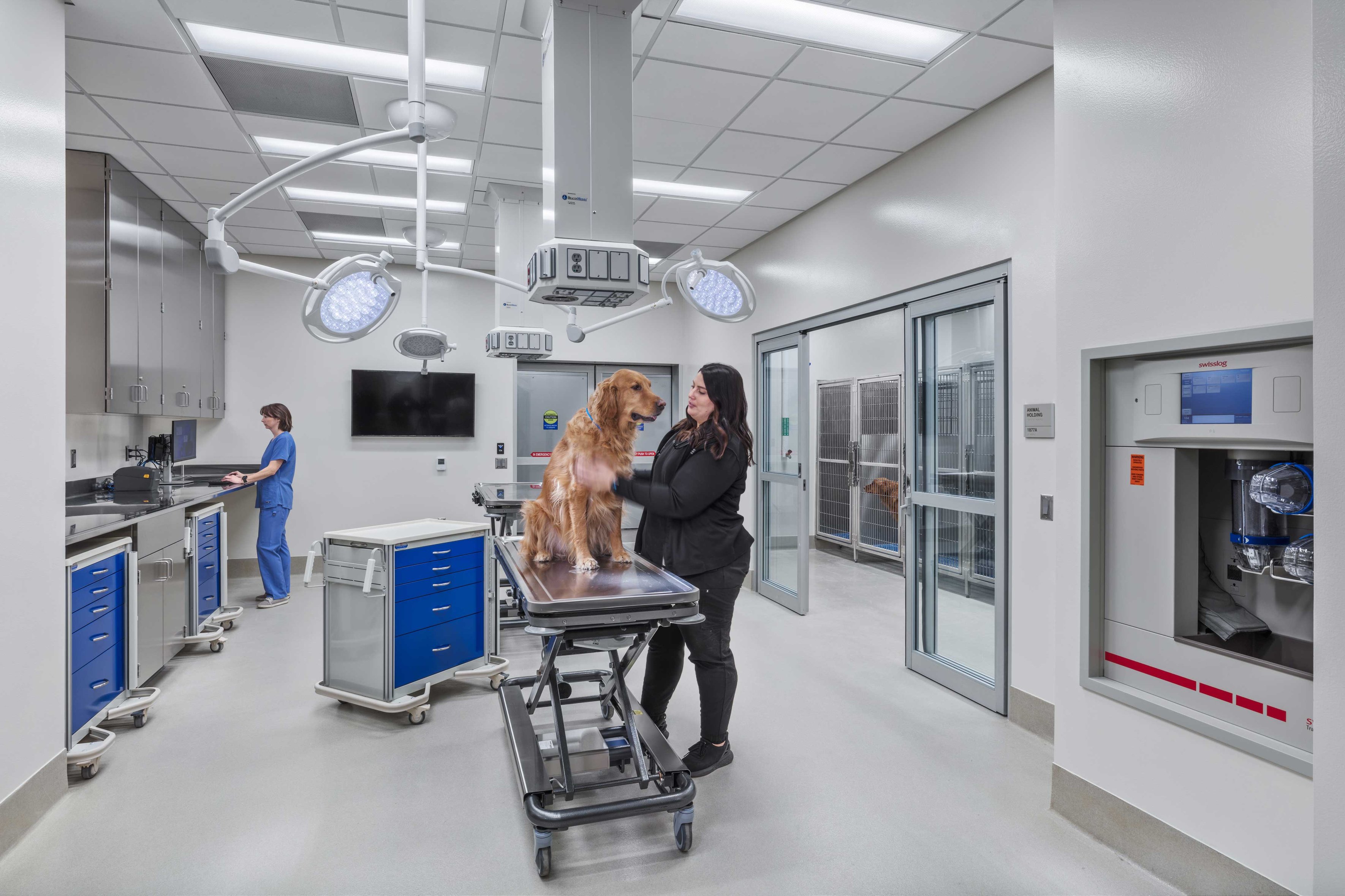 UWMadison Veterinary Medicine Addition + Renovation Project